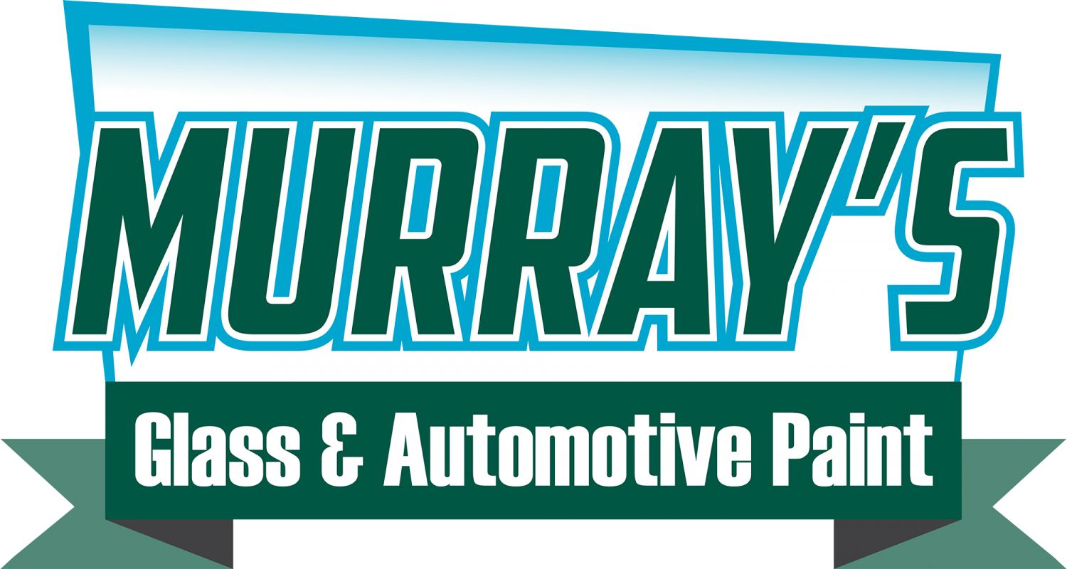 100Daysfor100Years Raffle Hamer Custom Guitar and Fender Champ Amp